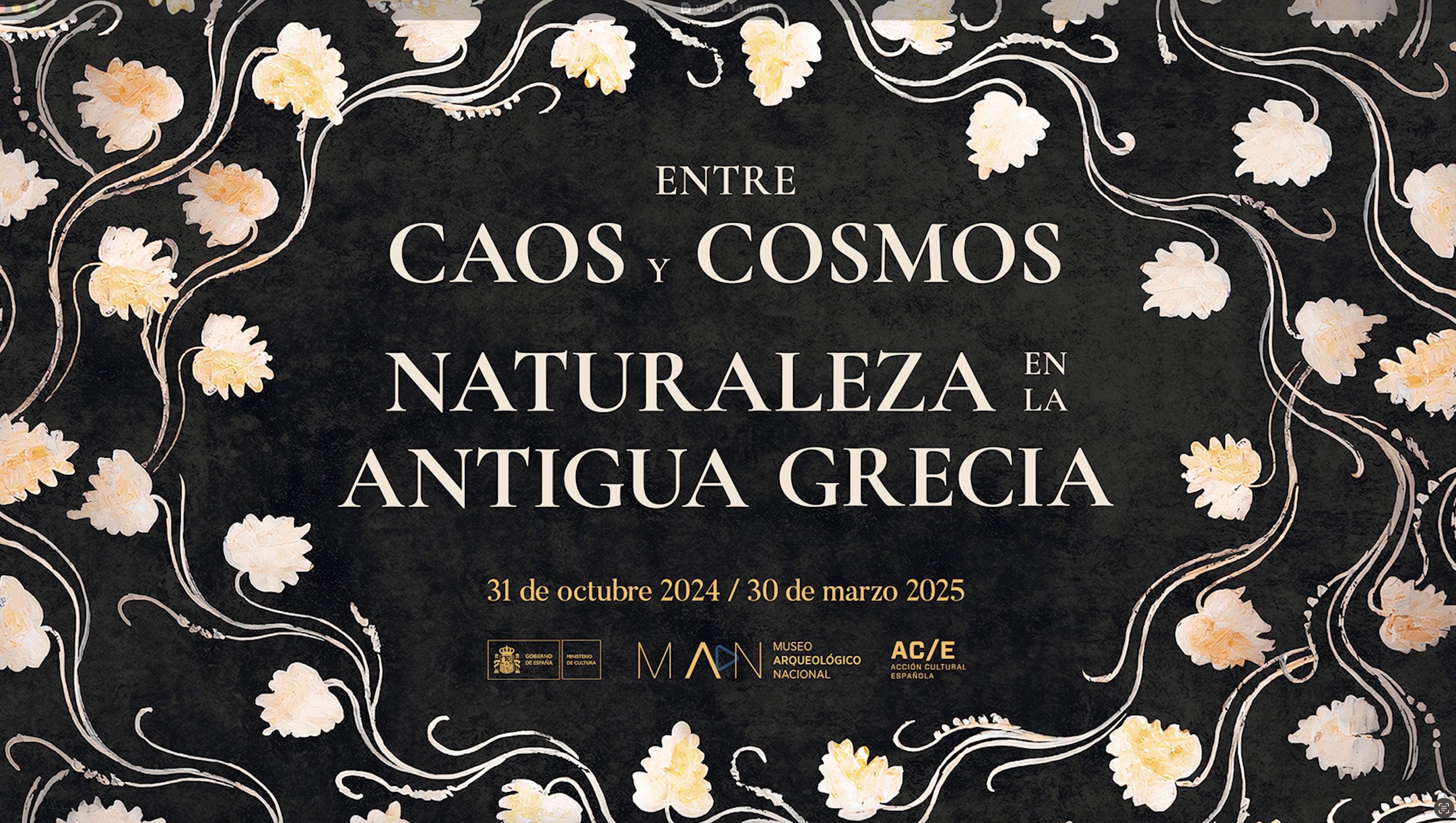 Between chaos and cosmos. Nature in Ancient Greece (Trailer)