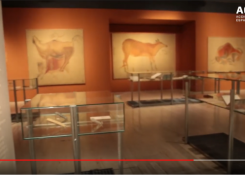 'Prehistoric Art. From the rock to the museum '. Exhibition overview