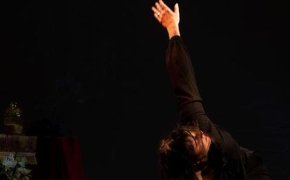 Flamenco and Spanish dance in the showcase of performing arts in New York