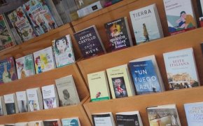 "Books from Spain", a portal to promote the sale of translation rights for Spanish books – EUROEFE EURACTIV