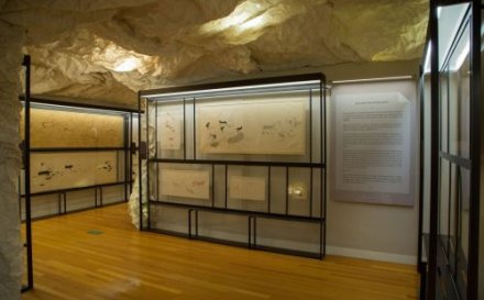 Fotos de la exposición 'Arte y naturaleza en la Prehistoria' en el MNCN